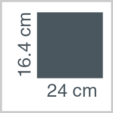 Sheet dimensions: 16.4 x 24 cm